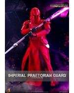 Hot Toys TMS108 1/6 Scale IMPERIAL PRAETORIAN GUARD™